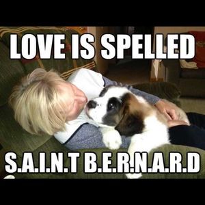 Meet your Posher, Pam